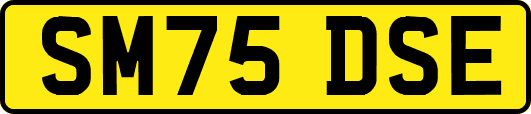 SM75DSE