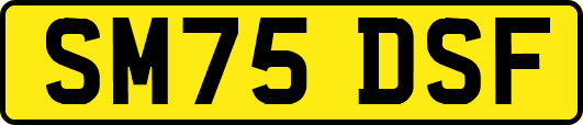 SM75DSF