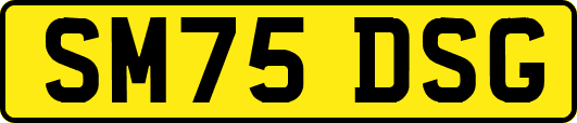 SM75DSG