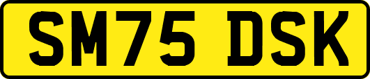 SM75DSK