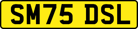 SM75DSL