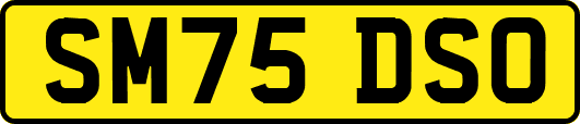 SM75DSO