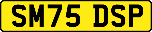 SM75DSP
