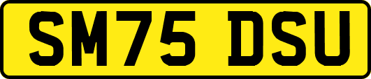 SM75DSU