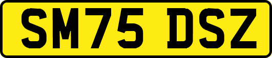 SM75DSZ
