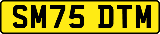 SM75DTM