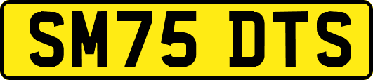SM75DTS