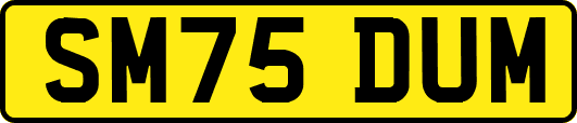 SM75DUM