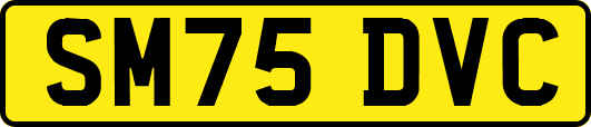 SM75DVC