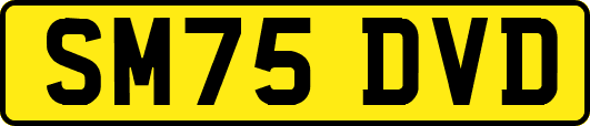 SM75DVD