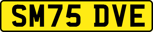 SM75DVE