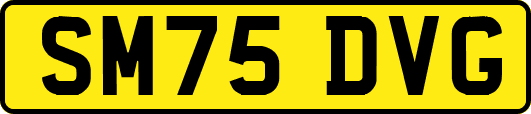 SM75DVG