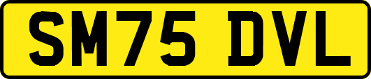 SM75DVL