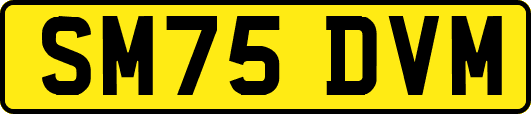 SM75DVM