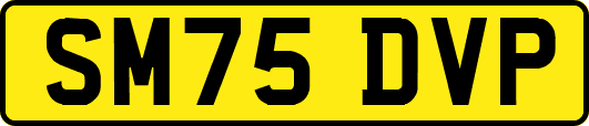 SM75DVP