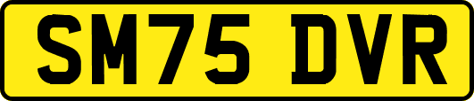 SM75DVR