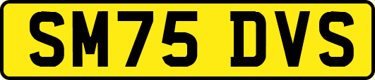 SM75DVS