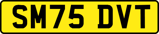 SM75DVT