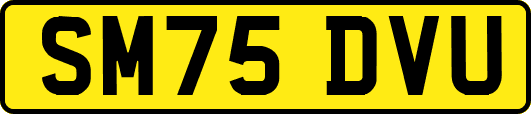 SM75DVU
