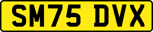 SM75DVX