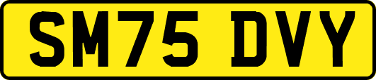 SM75DVY