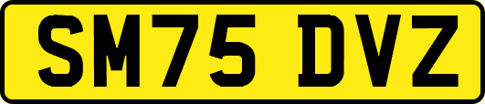 SM75DVZ