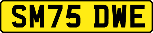 SM75DWE