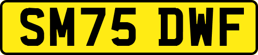 SM75DWF