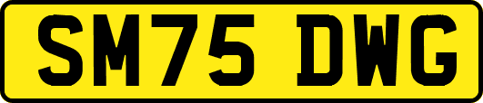 SM75DWG