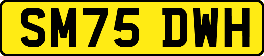 SM75DWH