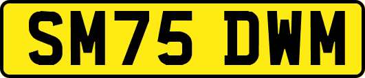 SM75DWM