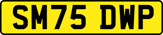 SM75DWP