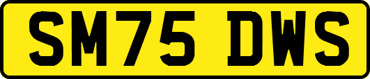 SM75DWS