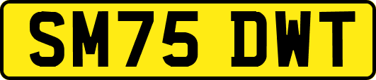 SM75DWT