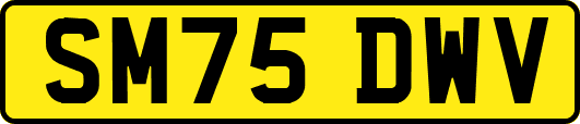 SM75DWV