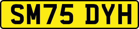 SM75DYH