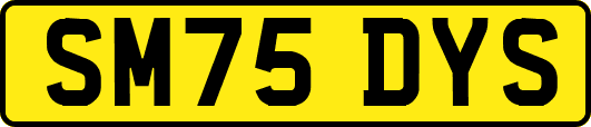 SM75DYS