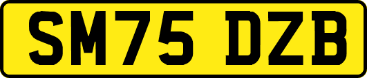 SM75DZB