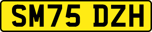 SM75DZH