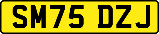 SM75DZJ