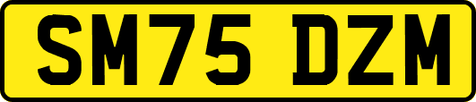 SM75DZM