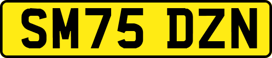 SM75DZN