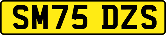 SM75DZS