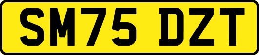 SM75DZT