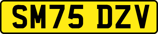 SM75DZV