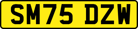 SM75DZW