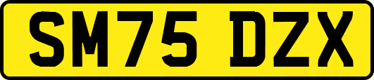 SM75DZX