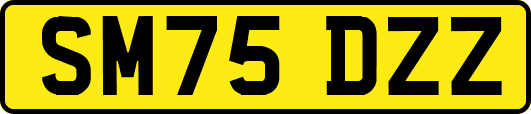 SM75DZZ