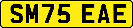 SM75EAE