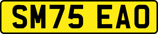 SM75EAO